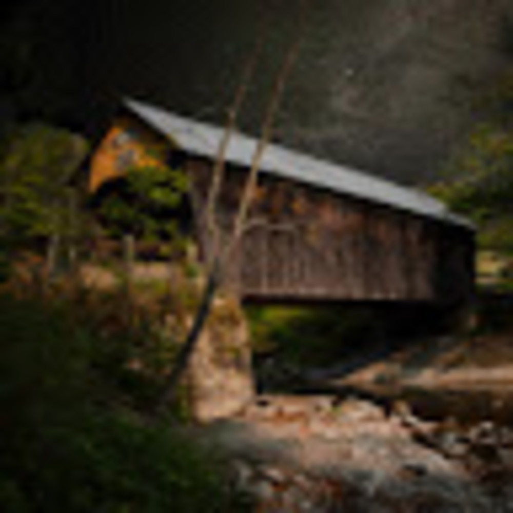 Meet your Posher, Bonny